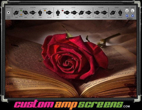 Buy Amp Screen Gothic Book Amp Screen