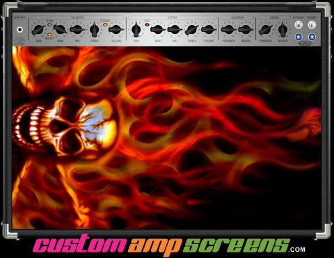 Buy Amp Screen Skull Airbrush Amp Screen
