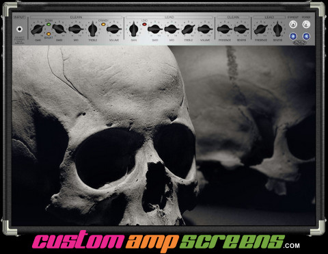 Buy Amp Screen Skull Display Amp Screen