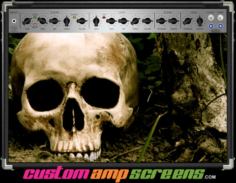 Buy Amp Screen Skull Dug Amp Screen
