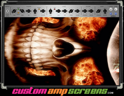 Buy Amp Screen Skull Fireeye Amp Screen