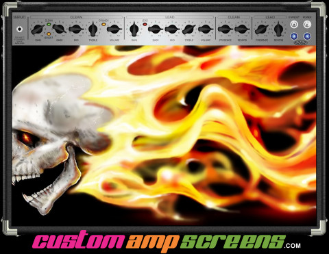 Buy Amp Screen Skull Flame Amp Screen