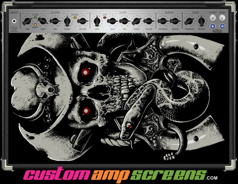 Buy Amp Screen Skull Southern Amp Screen