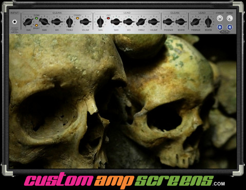 Buy Amp Screen Skull Wall Amp Screen