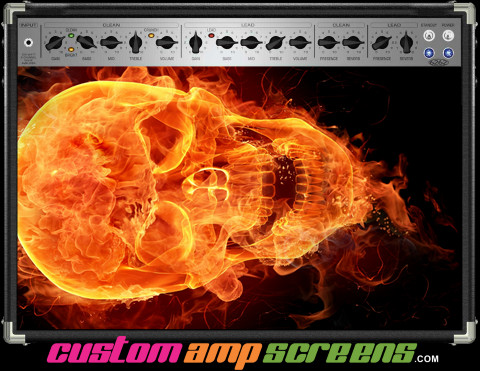 Buy Amp Screen Fire Skull Amp Screen