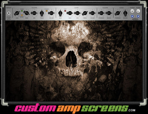 Buy Amp Screen Skull Dirt Amp Screen