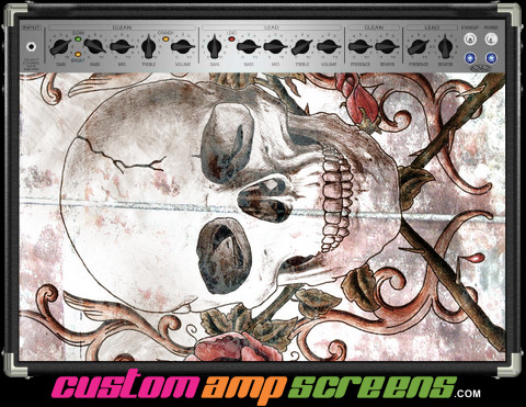 Buy Amp Screen Grungeart Skull Amp Screen