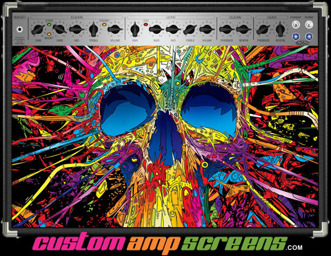 Buy Amp Screen Psychedelic Skull Amp Screen