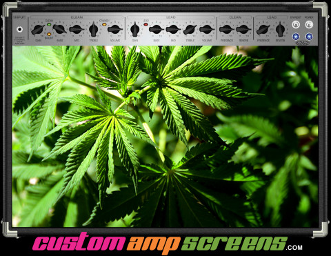 Buy Amp Screen Rasta Plant Amp Screen