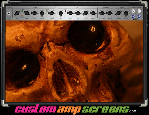 Buy Amp Screen Skull Eyes Amp Screen