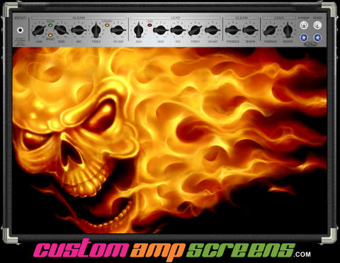 Buy Amp Screen Skull Fire Amp Screen