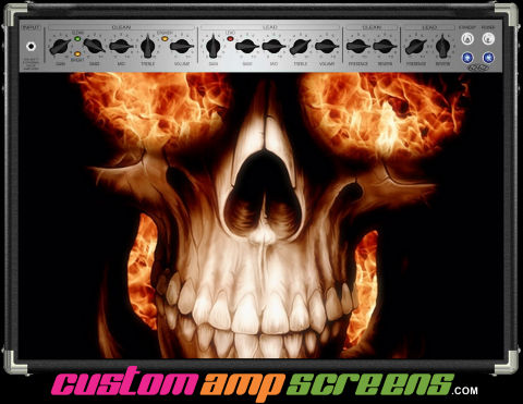 Buy Amp Screen Skull Fireeye Amp Screen
