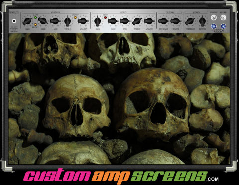 Buy Amp Screen Skull Pile Amp Screen