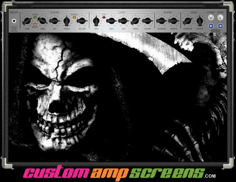 Buy Amp Screen Skull Rotten Amp Screen
