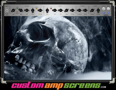Buy Amp Screen Skull Smoke Amp Screen
