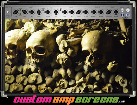 Buy Amp Screen Skull Wall Amp Screen